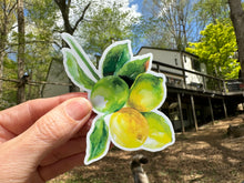 Load image into Gallery viewer, Sticker Sheet | Lemons | Full 12 x 12 inch Sheet