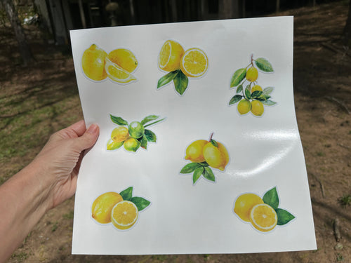 Sticker Sheet | Lemons | Full 12 x 12 inch Sheet