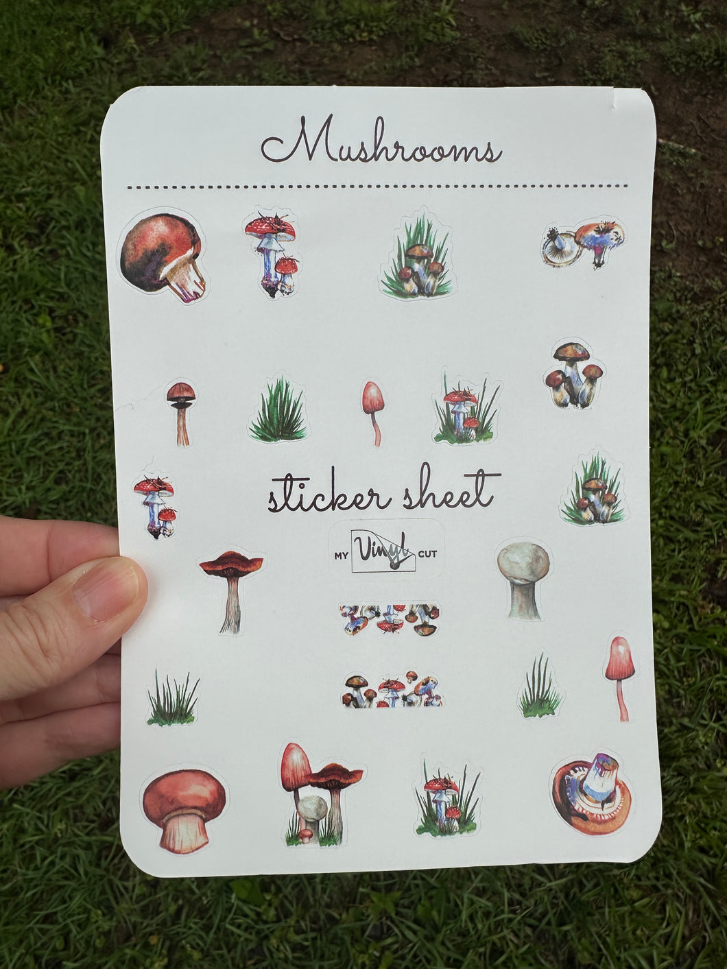 Sticker Sheet | Set #6 | planner stickers | Mushrooms | 5 x 7 inch sheet | permanent adhesive | waterproof ink