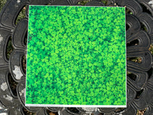 Load image into Gallery viewer, Printed HTV CLOVER Patterned Heat Transfer Vinyl 12 x 12 inch sheet