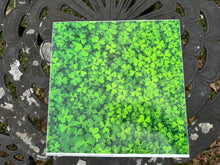 Load image into Gallery viewer, Printed Vinyl &amp; HTV CLOVER