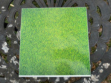 Load image into Gallery viewer, Printed Adhesive Vinyl ASTRO TURF Pattern 12 x 12 inch sheet