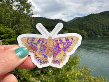 Load image into Gallery viewer, Window Stickers | Butterfly Stickers | 3 inch stickers | 12 x 12 sheet permanent adhesive | Static Clings