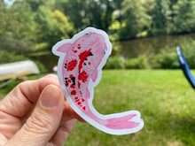 Load image into Gallery viewer, Sticker | Assorted Koi Fish | Waterproof Vinyl Sticker | White | Clear | Permanent | Removable | Window Cling | Glitter | Holographic