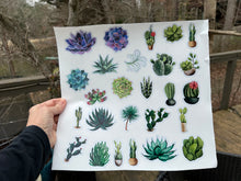 Load image into Gallery viewer, Sticker Sheet SUCCULENTS Full Sheet