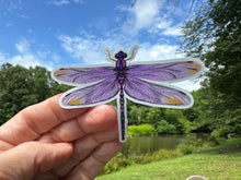 Load image into Gallery viewer, Sticker | 60F | Purple Dragonfly | Waterproof Vinyl Sticker | White | Clear | Permanent | Removable | Window Cling | Glitter | Holographic