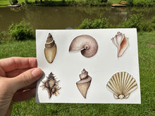 Load image into Gallery viewer, Sticker Sheet Set of little planner stickers Sea Shells