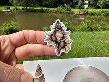 Load image into Gallery viewer, Sticker Sheet Set of little planner stickers Sea Shells