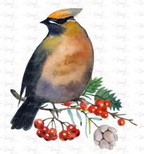 Load image into Gallery viewer, Sticker | 38F | Cedar Waxwing | Waterproof Vinyl Sticker | White | Clear | Permanent | Removable | Window Cling | Glitter | Holographic