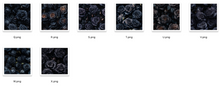 Load image into Gallery viewer, Printed Vinyl &amp; Waterslide Black Roses Flowers Patterns 12 x 12 inch sheet