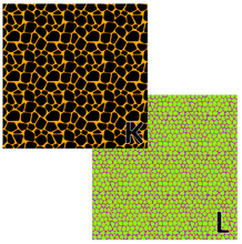 Load image into Gallery viewer, Printed Vinyl, HTV &amp; Waterslide Neon Safari Patterns 12 x 12 inch sheet