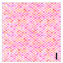 Load image into Gallery viewer, Printed Vinyl JOYFUL SIREN Patterns 12 x 12 inch sheet of Heat Transfer Vinyl (HTV) or Adhesive Vinyl Choose Pattern Choose Type of Vinyl