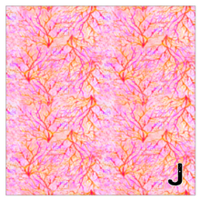 Load image into Gallery viewer, Printed Vinyl JOYFUL SIREN Patterns 12 x 12 inch sheet of Heat Transfer Vinyl (HTV) or Adhesive Vinyl Choose Pattern Choose Type of Vinyl