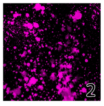 Load image into Gallery viewer, Printed HTV NEON PAINT SPLATTER Pattern Heat Transfer Vinyl 12 x 12 inch sheet