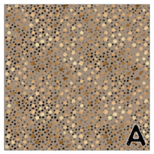 Load image into Gallery viewer, Printed Vinyl Shimmer Animal Print Choose HTV Adhesive Vinyl