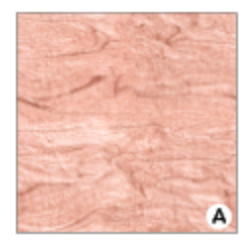 Printed HTV ROSE GOLD TEXTURES Patterned Heat Transfer Vinyl 12 x 12 sheet