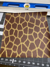 Load image into Gallery viewer, CLEARANCE HTV 12 x 12 inch sheets Express Print