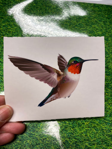 Waterslide Decal Ruby Throated Hummingbird2