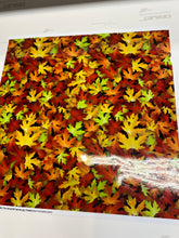 Load image into Gallery viewer, CLEARANCE Printed STATIC CLING Non Adhesive Vinyl Various Patterns 12 x 12 sheet