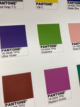 Load image into Gallery viewer, Sticker Sheet 24 Set of little planner stickers Pantone Color Swatches Chips