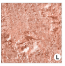 Load image into Gallery viewer, Printed HTV ROSE GOLD TEXTURES Patterned Heat Transfer Vinyl 12 x 12 sheet