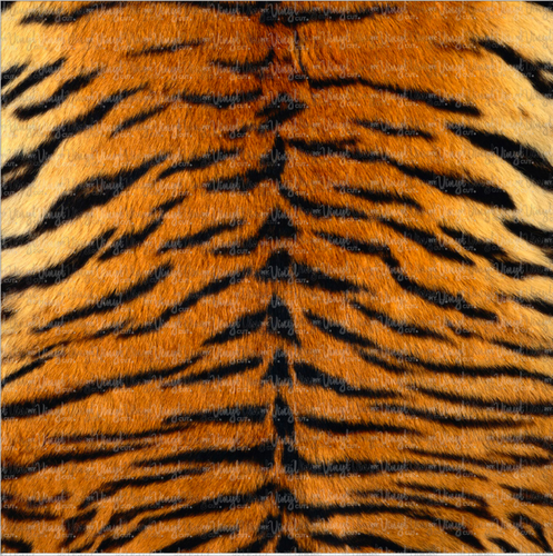 Printed Adhesive Vinyl Realistic TIGER STRIPES Pattern 12 x 8 1/2 inch sheet