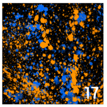 Load image into Gallery viewer, Printed Adhesive Vinyl NEON PAINT SPLATTER on Black Background