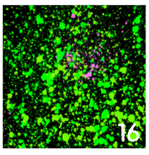 Load image into Gallery viewer, Printed HTV NEON PAINT SPLATTER on Black Background