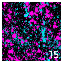 Load image into Gallery viewer, Printed Adhesive Vinyl NEON PAINT SPLATTER on Black Background