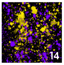 Load image into Gallery viewer, Printed Adhesive Vinyl NEON PAINT SPLATTER on Black Background