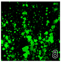 Load image into Gallery viewer, Printed HTV NEON PAINT SPLATTER on Black Background