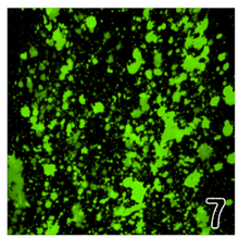 Load image into Gallery viewer, Printed Adhesive Vinyl NEON PAINT SPLATTER on Black Background