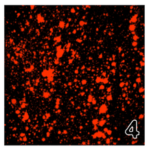 Load image into Gallery viewer, Printed Adhesive Vinyl NEON PAINT SPLATTER on Black Background