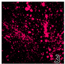 Load image into Gallery viewer, Printed Adhesive Vinyl NEON PAINT SPLATTER on Black Background