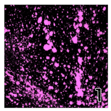 Load image into Gallery viewer, Printed Adhesive Vinyl NEON PAINT SPLATTER on Black Background