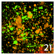 Load image into Gallery viewer, Printed HTV NEON PAINT SPLATTER on Black Background