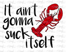 Load image into Gallery viewer, Waterslide Decal It ain't gonna suck itself 2