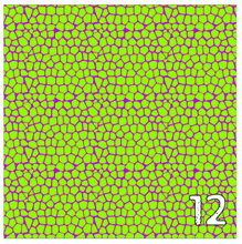 Load image into Gallery viewer, Printed Adhesive Vinyl NEON SAFARI 12 x 12 inch sheet