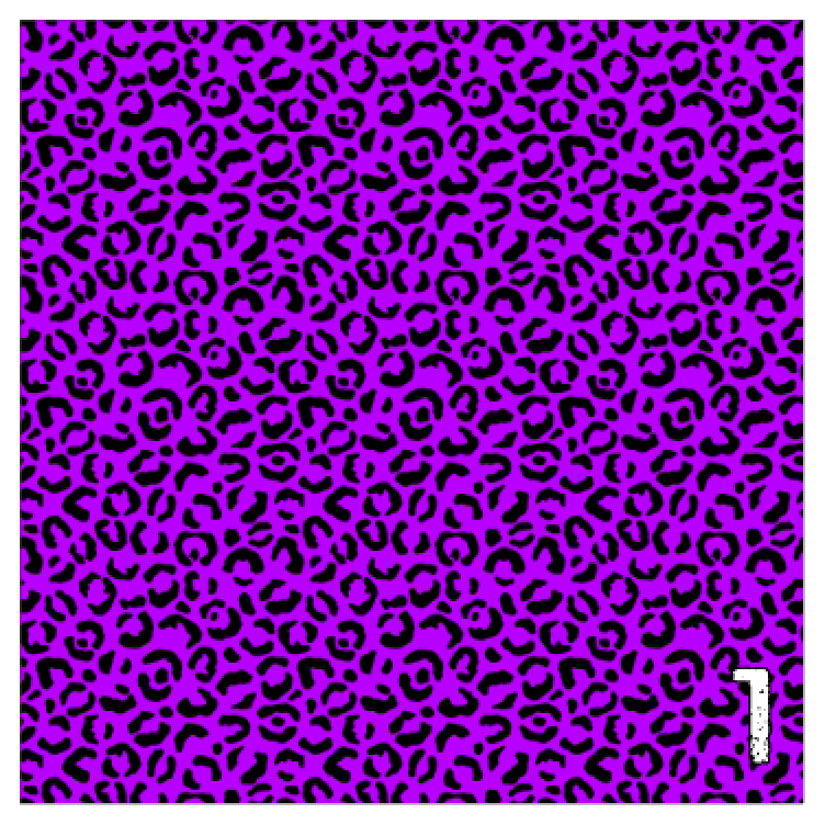 Printed Heat Transfer Vinyl HTV NEON SAFARI 12 x 12 inch sheet