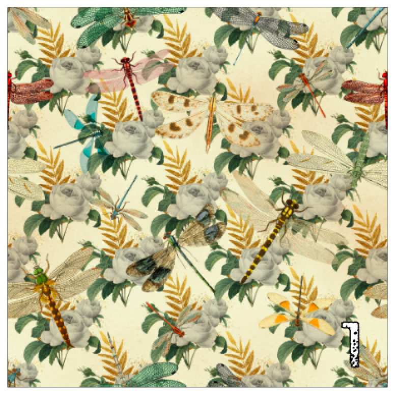 Printed Adhesive Vinyl VINTAGE DRAGONFLIES