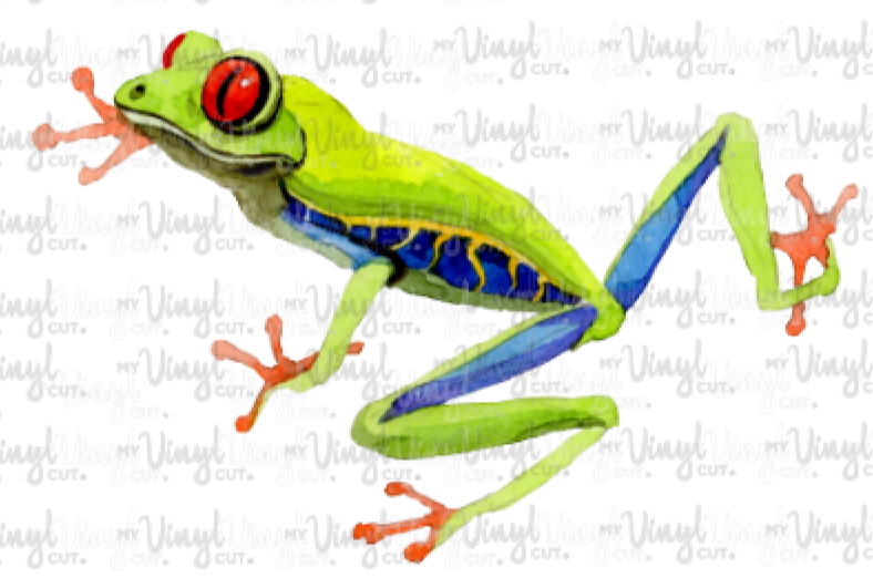 Waterslide Decal Tree Frog2