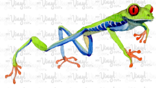 Waterslide Decal Tree Frog5