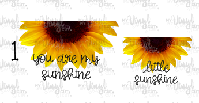 Waterslide Decal You are my Sunshine/Little Sunshine Choose one