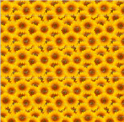 Printed Adhesive Vinyl Realistic Sunflower Pattern 12 x 12 inch sheet