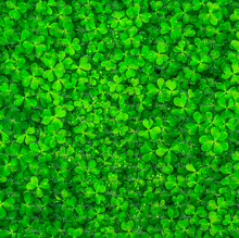 Load image into Gallery viewer, Printed Vinyl &amp; HTV CLOVER