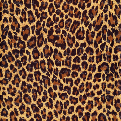 Printed Vinyl & HTV REALISTIC LEOPARD PRINT