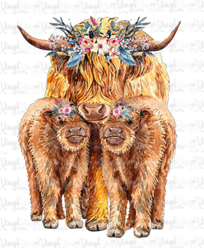 Waterslide Decal 39M Highlands Cow with Calves