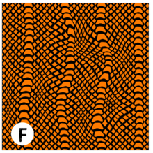 Load image into Gallery viewer, Printed Heat Transfer Vinyl HTV Halloween Animal Print 12 x 12 inch sheet