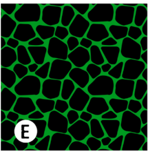 Load image into Gallery viewer, Printed Adhesive Vinyl Halloween Animal Prints Pattern Vinyl 12 x 12 inch sheets