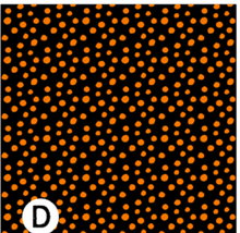 Load image into Gallery viewer, Printed Adhesive Vinyl Halloween Animal Prints Pattern Vinyl 12 x 12 inch sheets